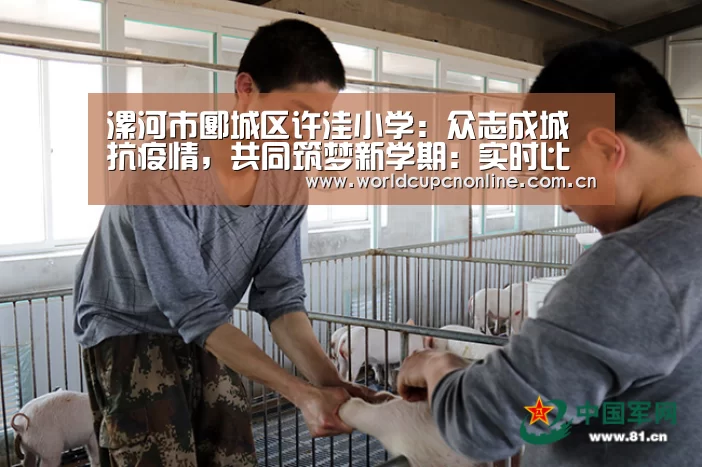 实时比分