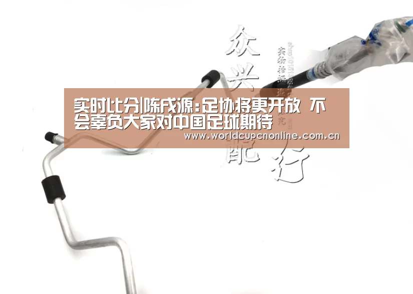 实时比分|陈戌源:足协将更开放 不会辜负大家对中国足球期待