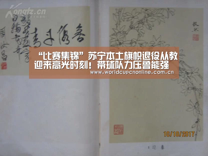 “比赛集锦”苏宁本土旗帜退役从教迎来高光时刻！带球队力压鲁能强势夺冠！