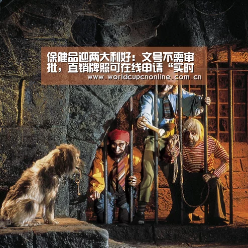 实时比分