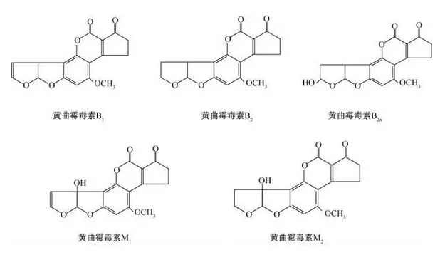 实时比分
